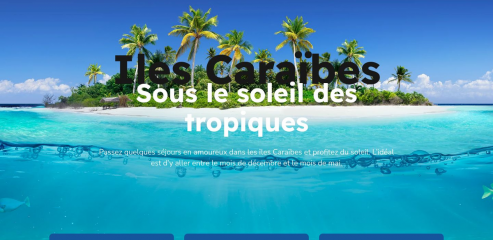 https://www.voyage-caraibes-fr.com